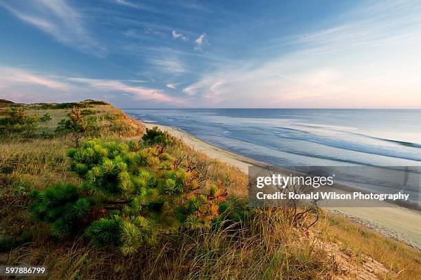 marconi beach, wellfleet - cape cod photos et images de collection