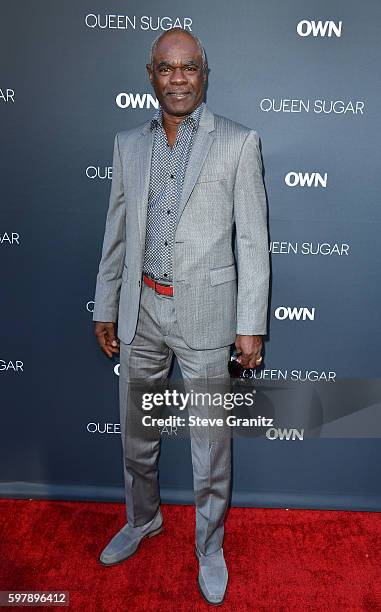 Actor Glynn Turman attends OWN: Oprah Winfrey Network's Queen Sugar premiere at the Warner Bros. Studio Lot Steven J. Ross Theater on August 29,...