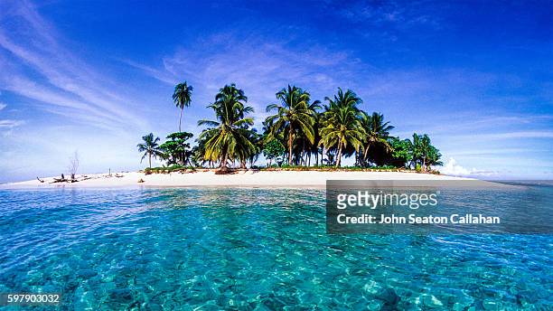 island in the mentawai islands - mentawai islands stock pictures, royalty-free photos & images