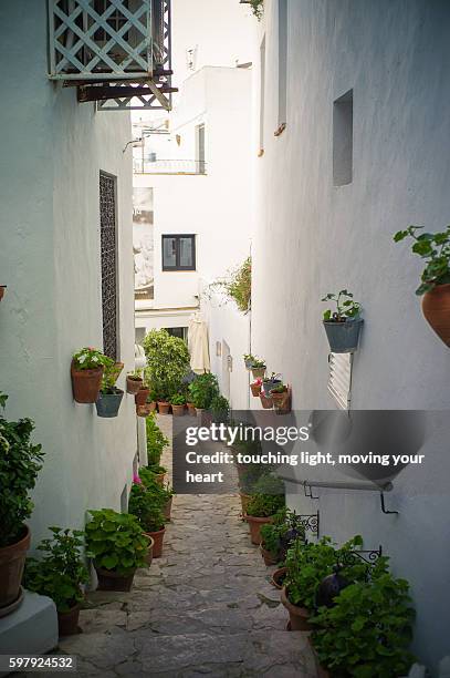a beautiful alley in a white residential area - snake alley stock pictures, royalty-free photos & images