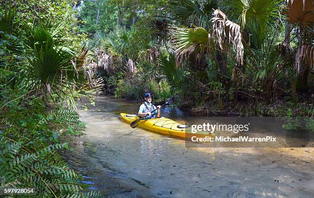 kayaking juniper springs in the ocala national forest - juniper springs florida stock pictures, royalty-free photos & images