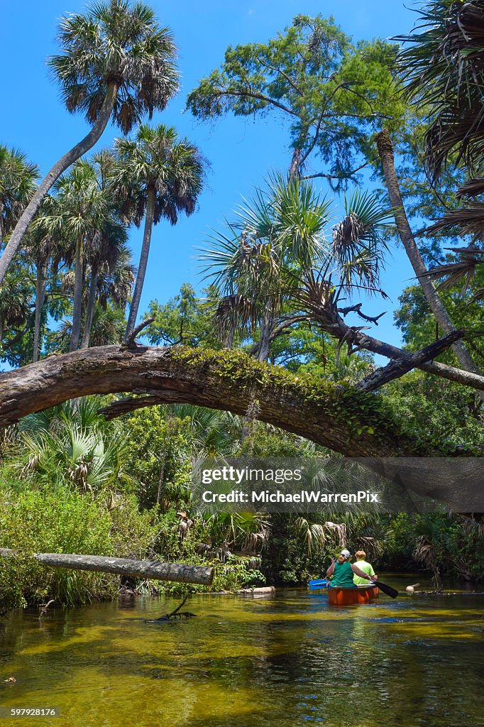 Canoeing Juniper Springs in The Ocala National Forest