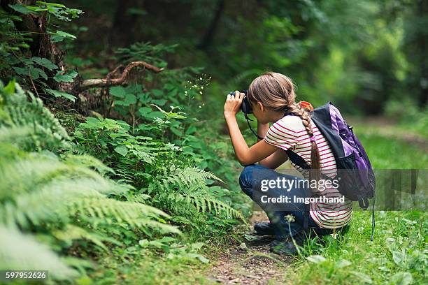 little girl taking photos in the forest - hobbys stockfoto's en -beelden