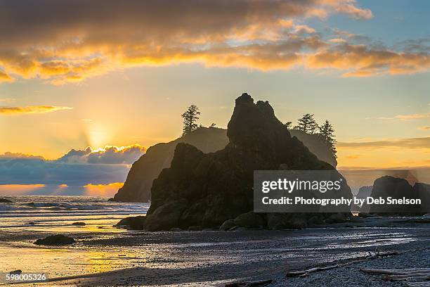 sunbeams and sunset on ruby beach in the olympic national park washington - olympic national park stock pictures, royalty-free photos & images