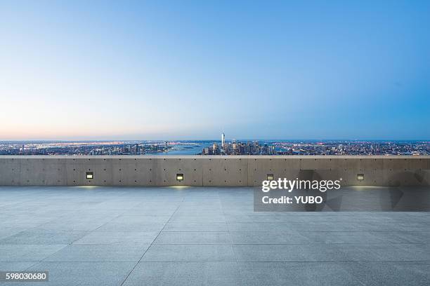 the roof viewing platform - rooftop new york photos et images de collection