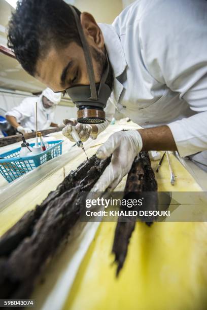 Egyptian archaeologist Mohamed Anwar works on parts of the second solar boat of king Khufu on August 31, 2016 at the restoration laboratory, located...