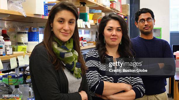 Harvard graduate students Avery Davis, Kate Franz, and Chamith Fonseka in a lab at Harvard Medical School, March 23, 2016. They are trying to get...