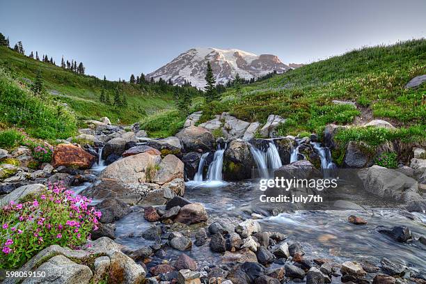 mount rainier summer - cascade range stock-fotos und bilder