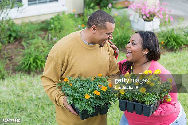 young black couple outside home planting flowers - couple gardening stock pictures, royalty-free photos & images