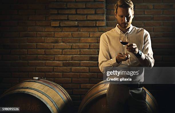 wine tasting. - the cellar stock pictures, royalty-free photos & images