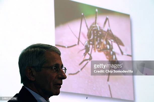 The U.S. National Institutes of Allergy and Infectious Disease Director Dr. Anthony Fauci gives a presentation about the Zika virus at the Georgetown...