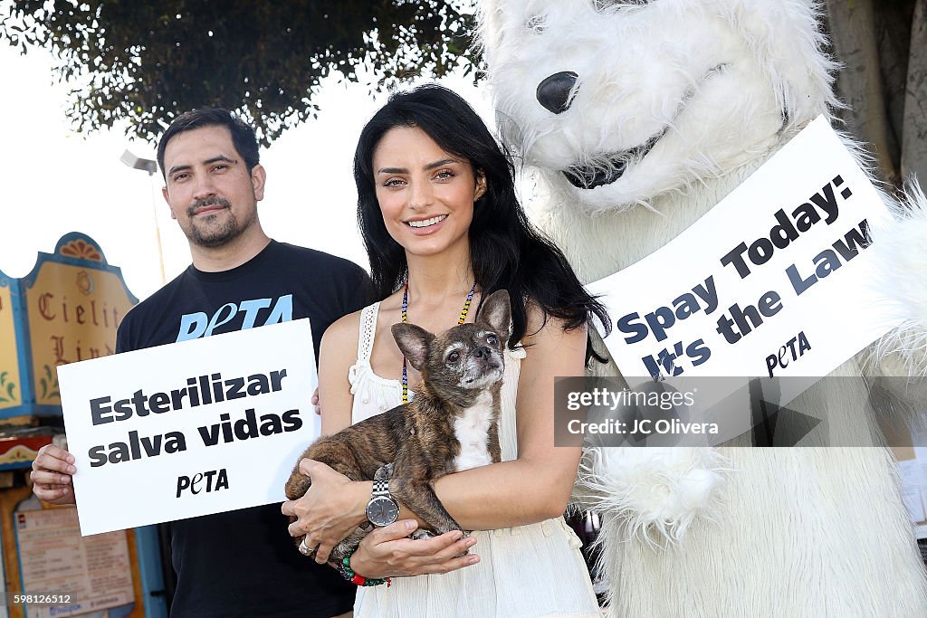 PETA Latino Campaign Launch With Aislinn Derbez