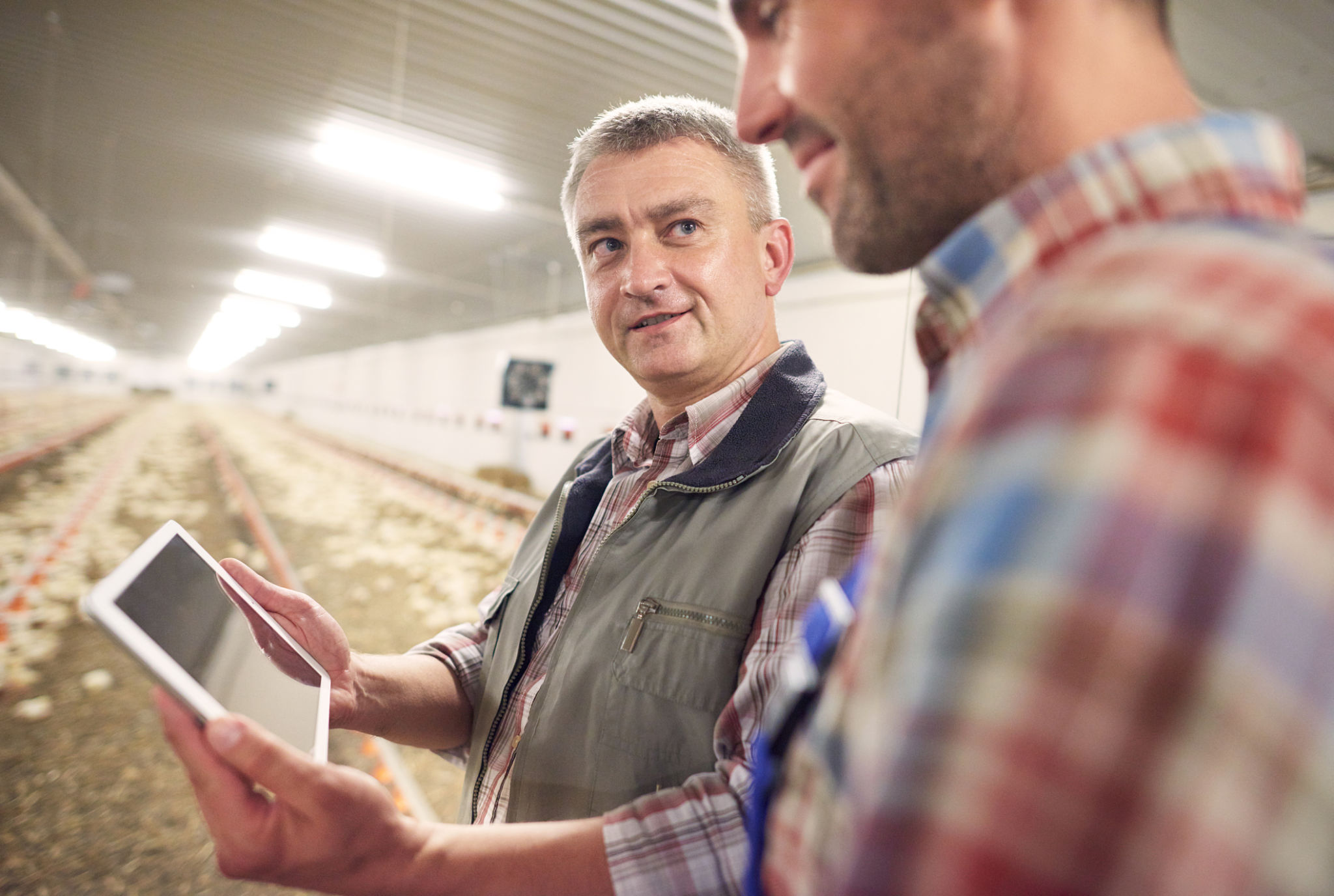 Digital technology used in chicken coop Digital technology used in chicken coop