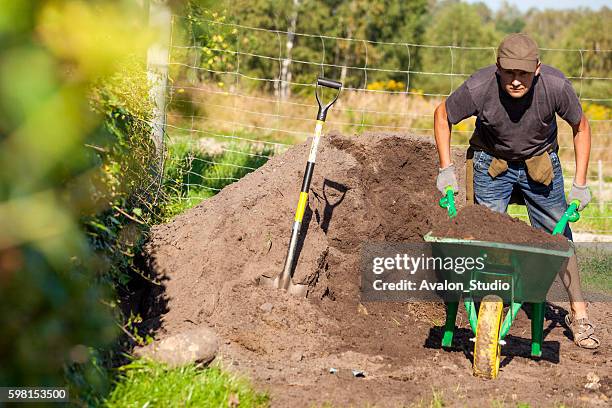 young man working in the garden - landscape architect stock pictures, royalty-free photos & images