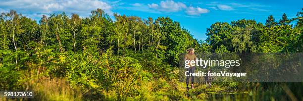 young woman running with dog through green forest trail panorama - forest of dean stock pictures, royalty-free photos & images