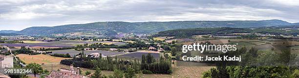 panorama of blooming lavender fields - lavandin stock pictures, royalty-free photos & images