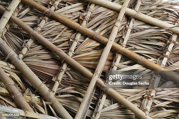 close-up low angle view of thatched roof - thatched roof huts stock pictures, royalty-free photos & images