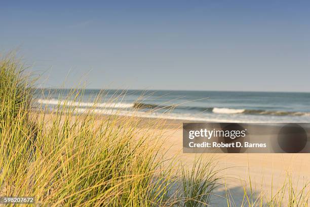 stone harbor beach - jersey shore fotografías e imágenes de stock