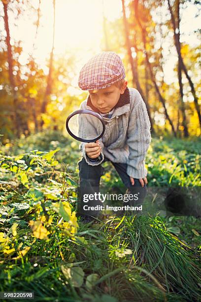 kleiner junge erkundet die natur im herbstwald - magnifying glass nature stock-fotos und bilder