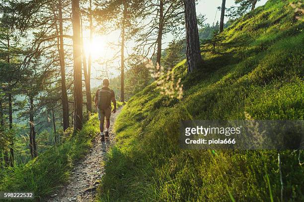 senior man trail hiking in the forest at sunset - hiker imagens e fotografias de stock