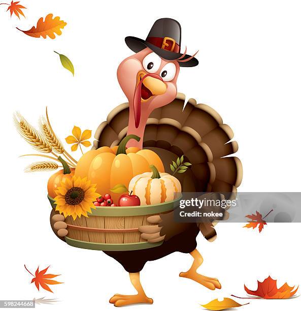 pilgrim turkey with harvest basket - pilgrim stock illustrations