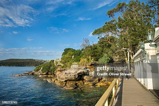 federation point, manly - bay of water stock pictures, royalty-free photos & images