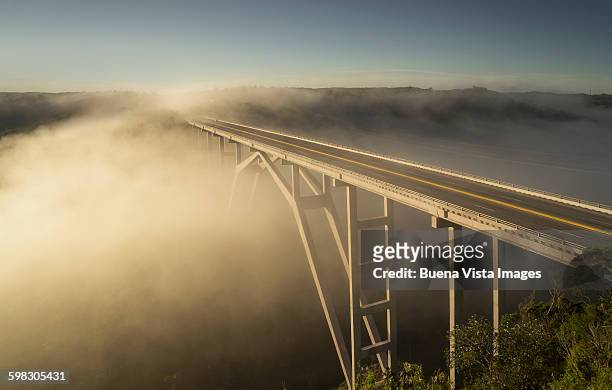 modern bridge in the mist - bridge fog stock pictures, royalty-free photos & images