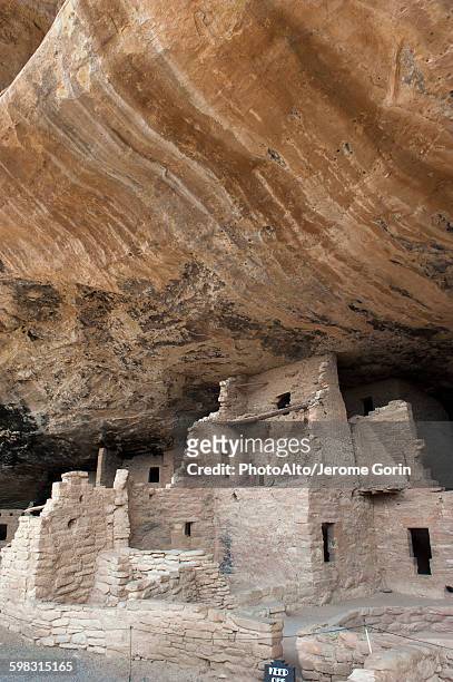 cliff palace, mesa verde national park, colorado, usa - pueblo villaggio indigeno foto e immagini stock
