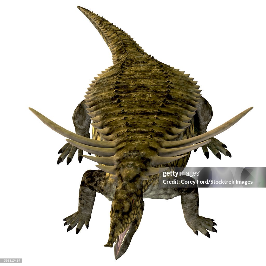 Desmatosuchus armored dinosaur.
