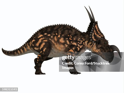 Einiosaurus dinosaur, side view. Einiosaurus dinosaur, side view.