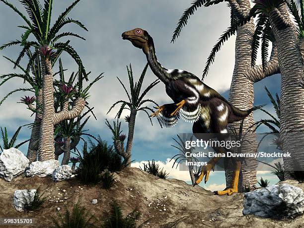 a caudipteryx dinosaur walking among williamsonia trees. - caudipteryx stock illustrations