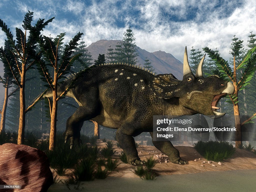 Nedoceratops roaring while among onychiopsis trees.