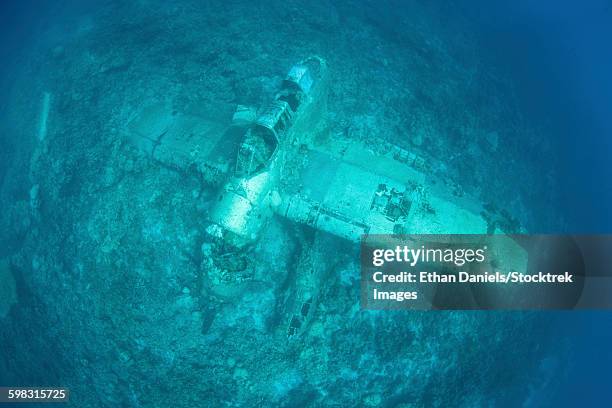 a japanese jake seaplane on the seafloor of palaus lagoon. - パラオ ストックフォトと画像