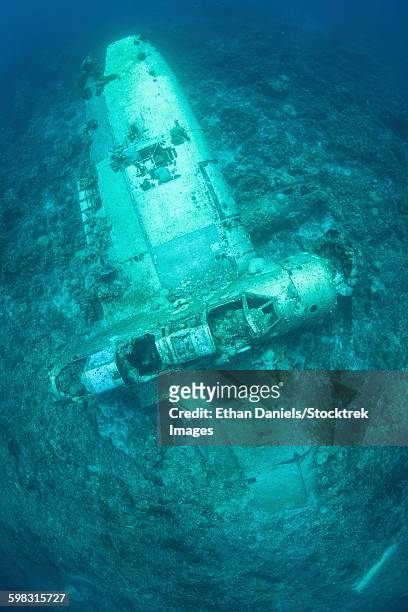 a japanese jake seaplane on the seafloor of palaus lagoon. - air crash investigation stock pictures, royalty-free photos & images