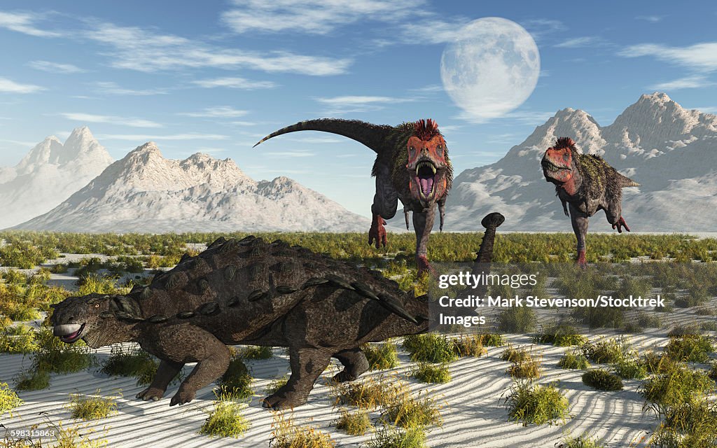 A pair of carnivorous Tarbosaurus dinosaurs running towards a Pinacosaurus armored dinosaur.