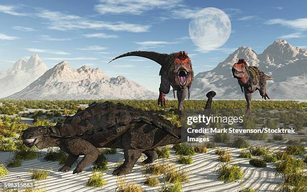 a pair of carnivorous tarbosaurus dinosaurs running towards a pinacosaurus armored dinosaur. - ankylosaurus stock illustrations