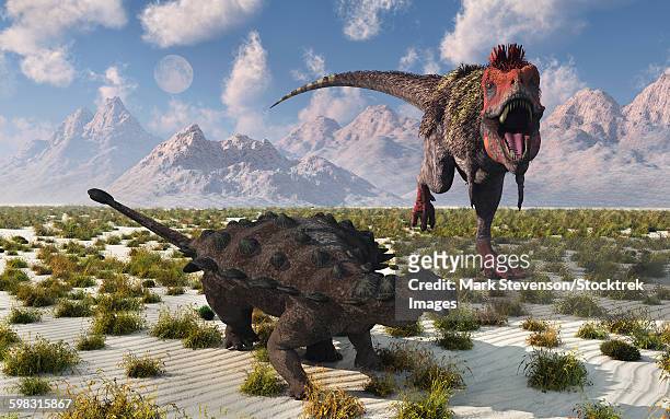 a tarbosaurus dinosaur approaching a pinacosaurus. - scute stock illustrations