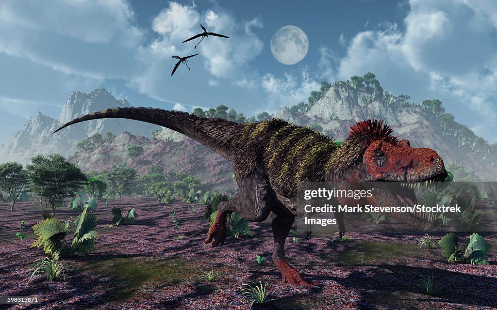 A carnivorous Tarbosaurus dinosaurs hunting for food during the Cretaceous period.