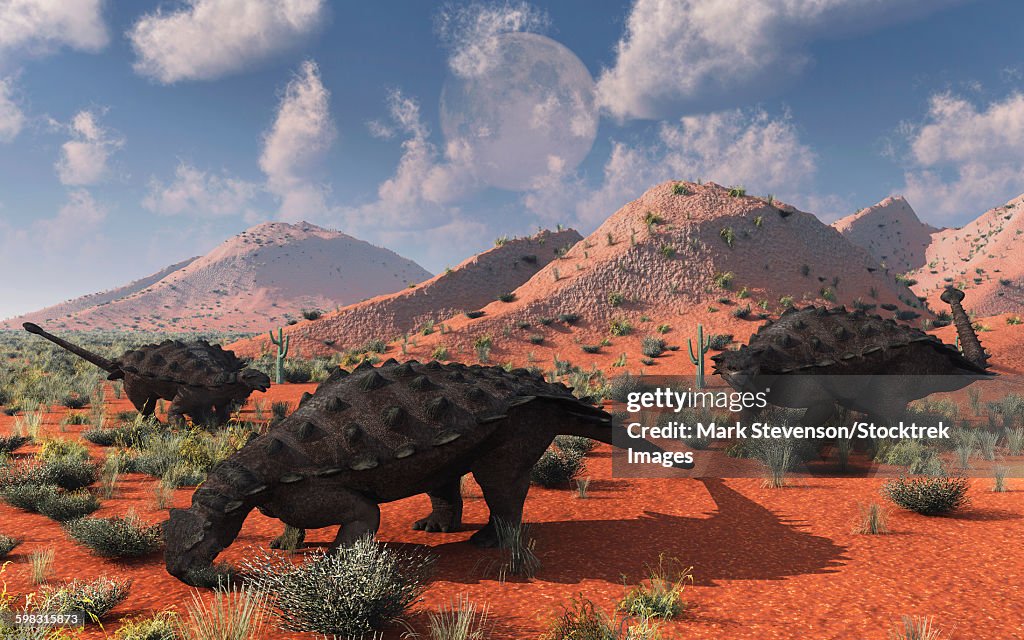 A group of Pinacosaurus dinosaurs grazing during the Cretaceous period of modern day Asia.