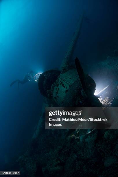 diver exploring the wreck of a japanese navy seaplane in palau, micronesia. - パラオ ストックフォトと画像