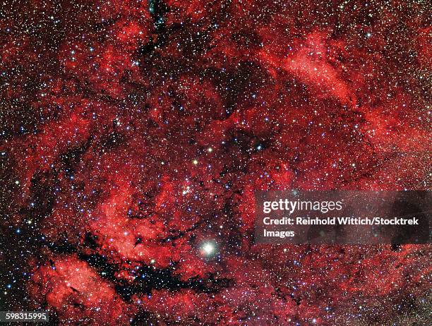 sadr region in the constellation cygnus. - cygnus constellation - fotografias e filmes do acervo