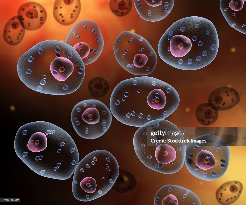 Conceptual image of mast cells.