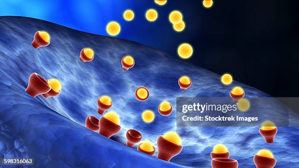 conceptual image of synapse receptors. - neuroanatomy stock illustrations