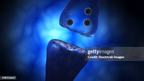 conceptual image of synaptic vesicles. - neuroanatomy stock illustrations