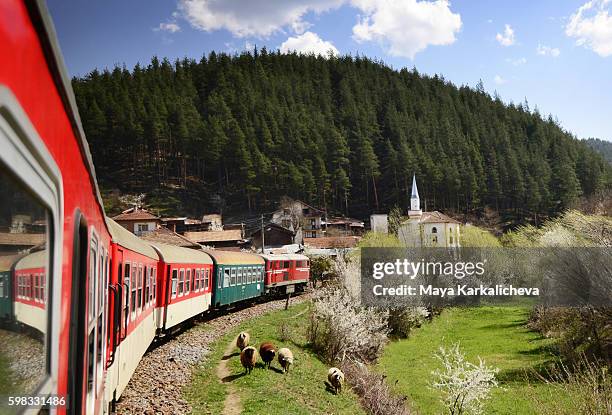 rhodope mountains, narrow gauge train, bulgaria - bulgari foto e immagini stock