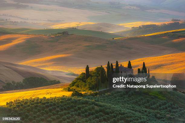 val d'orcia in tuscany - val dorcia fotografías e imágenes de stock