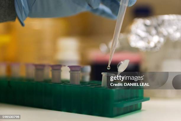 Scientist is pictured pipetting samples as she works with yeast DNA at a media preview at the new Francis Crick Institute building in central London...