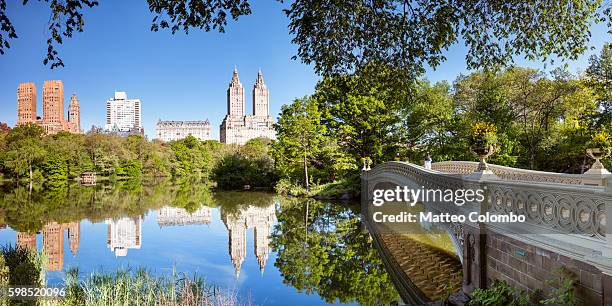 bow bridge in springtime, central park, new york - central park bildbanksfoton och bilder