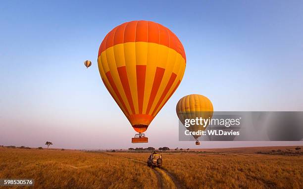 balloon safari - masai mara national reserve stockfoto's en -beelden