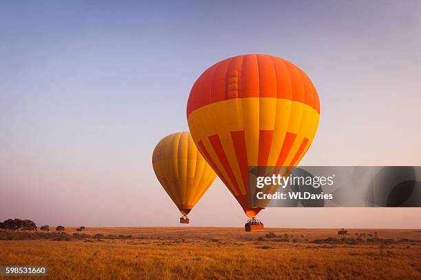 balloon safari - masai mara national reserve stockfoto's en -beelden